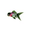 Green Oranda Goldfish