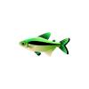 Green Twotone Tetra