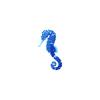 Blue Paradise Seahorse