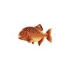 Copper Precious Piranha