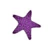 Dark Purple Star