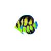 Lime Drop Angelfish