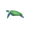 Green Sea Turtle (reboot)