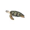 Hawksbill Turtle