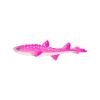 Pink Baby Catshark