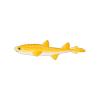 Yellow Baby Catshark