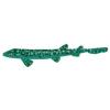 Jade Coral Cat Shark