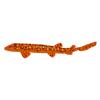 Orange Coral Cat Shark