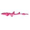 Pink Valentine Cat Shark