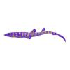 Purple Bamboo Shark