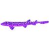 Purple Coral Cat Shark