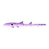 Purple Epaulette Shark