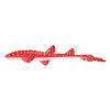 Red Spotted Cat Shark