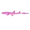 Rose Valentine Cat Shark