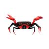 Red and Black Crab