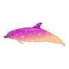 Pink Starry Twilight Dolphin