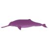 Purple Ganges Dolphin