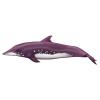 Purple Rough Tooth Dolphin