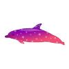 Purple Starry Twilight Dolphin