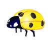 Golden Ladybug