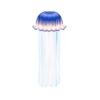 Blue Striped Jellyfish
