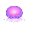 Cannon Ball Jellyfish