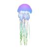 Electric Rainbow Jellyfish