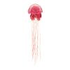 Pink Mane Jellyfish