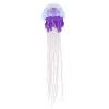 Purple Lions Mane Jellyfish