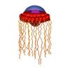 Red Atolla Jellyfish