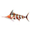 Clownfish Marlin