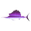 Purple Sailfish