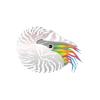 Color Change Rainbow Nautilus