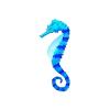 Blue Color Change Seahorse