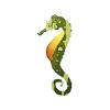 Gourd Seahorse