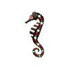 Stripe Belly Aboriginal Seahorse