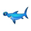 Blue Hammerhead Shark