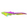 Colorsplash Zebra Shark