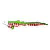 Festive Zebra Shark