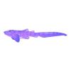 Purple Zebra Shark