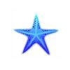 Blue Maritime Starfish