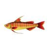 Golden Dragonfish