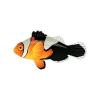Bicolor Clownfish