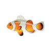 Picasso Clownfish