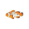 Splotch Clownfish