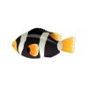 Yellowtipped Clownfish