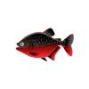 Bicolor Piranha