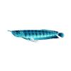 Blue Arowana