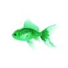 Green Goldfish