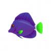 Greentail Purple Tang